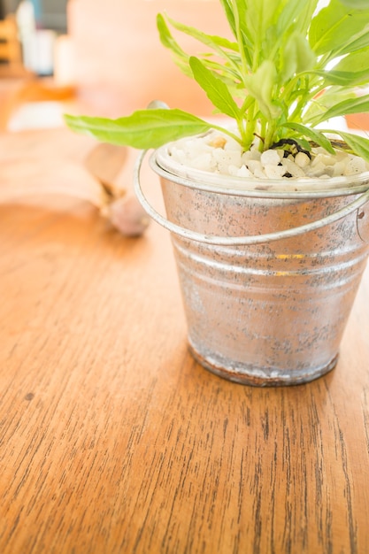 Cubo de planta verde decorado en mesa de madera