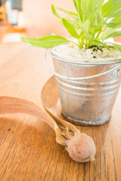 Cubo de planta verde decorado en mesa de madera