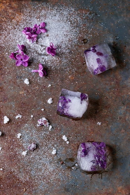 Cubos de gelo com flores lilás