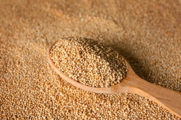 Cuchara con quinoa sobre semillas