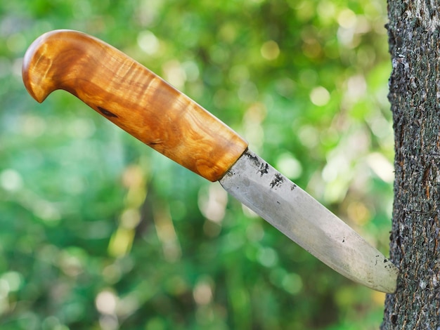 cuchillo clavado en arbol