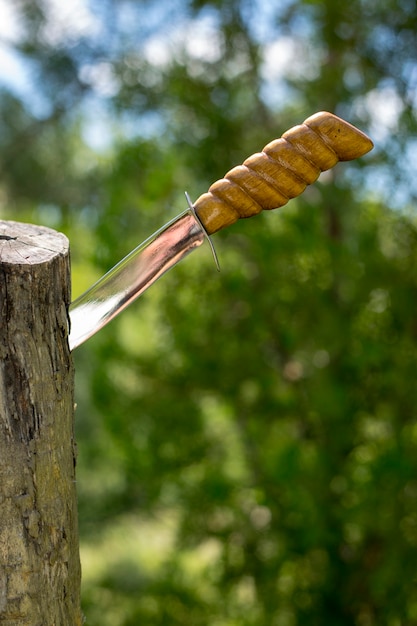 Un cuchillo grande y afilado sobresale del árbol