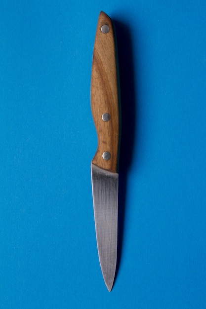 Cuchillo liso con mango de madera.