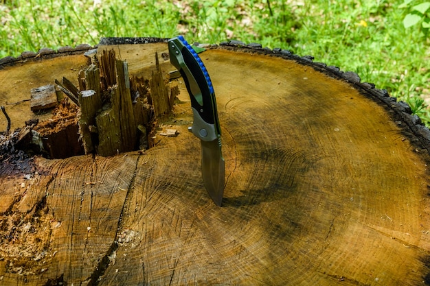 Cuchillo plegable atascado en el viejo tronco de árbol