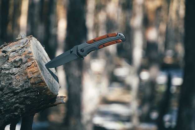 El cuchillo plegable para sobrevivir está atascado en el tronco del árbol aserrado contra el bosque de pinos de fondo