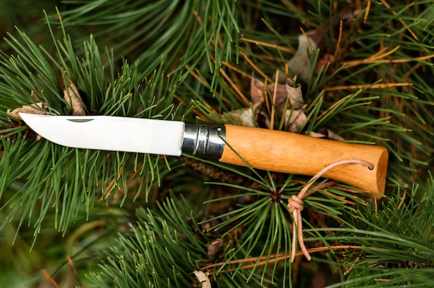 Cuchillo tirado en el árbol Cuchillo con cordón de cuero