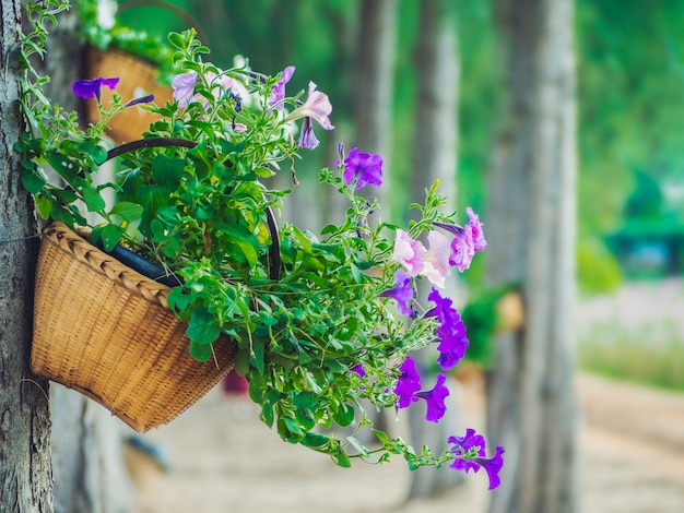 Se cuelga una cesta de flores con un árbol.