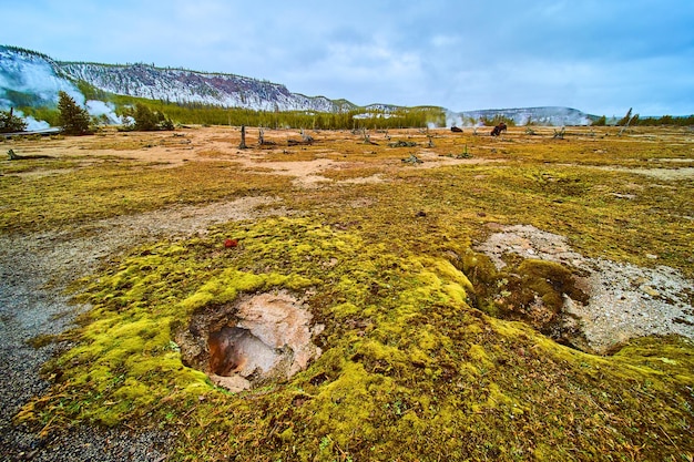 Cuenca de Yellowstone en invierno detalle de agujeros en el suelo para géiseres rodeados de musgo