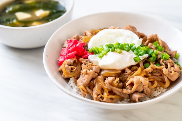 cuenco de arroz de cerdo con huevo (Donburi) - comida japonesa