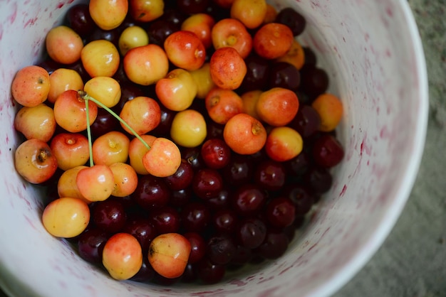 Un cuenco de cerezas con la palabra cerezas