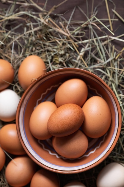 Cuenco de comida orgánica con huevos de gallina en heno