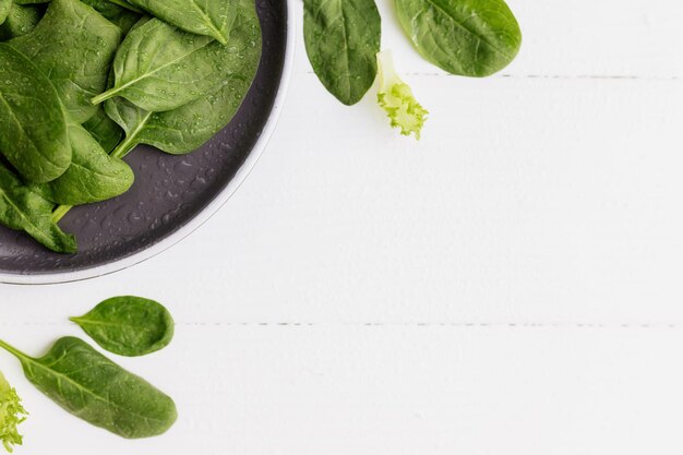 Un cuenco con hojas de ensalada verde fresca, espinaca, lechuga, albahaca sobre un fondo blanco.