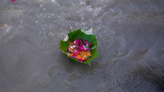 Cuenco de hojas lleno de flores flotando en el lago