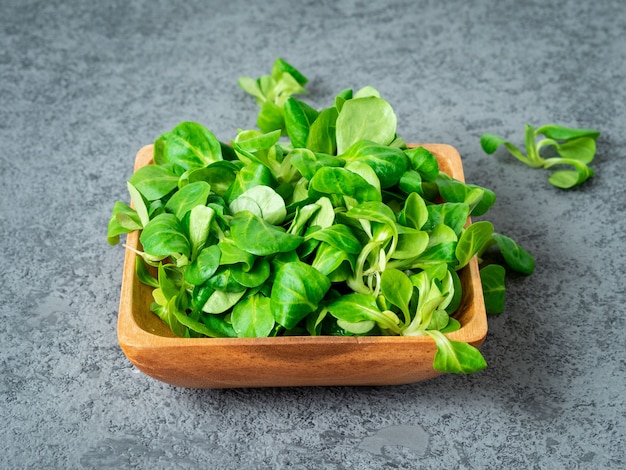 Cuenco de madera con hojas de ensalada de maíz, lechuga de cordero en piedra gris