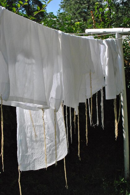 La cuerda de la ropa colgando en el patio contra los árboles