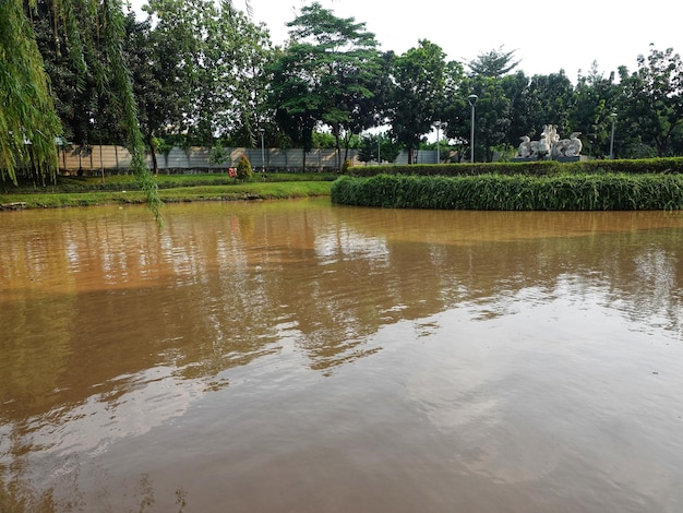 un cuerpo de agua que es marrón