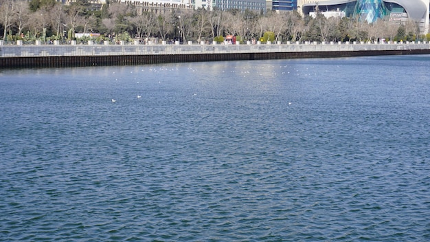 Foto un cuerpo de agua que tiene un agua azul con un edificio en el fondo