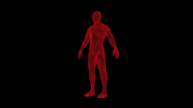 Cuerpo humano 3D sobre fondo negro Objeto disuelto partículas rojas parpadeantes Concepto científico Bg abstracto para la presentación del título Salvapantallas holográfico Animación 3D