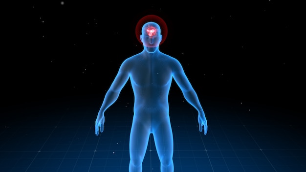 Cuerpo humano digital con dolor visible en diferentes lugares.