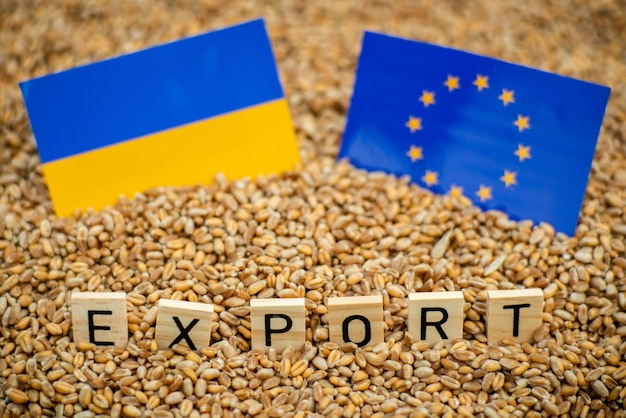 Cuestionar los problemas de exportación de grano ucraniano a los países de la Unión Europea La palabra exportación y las banderas de Ucrania y la Unión Europea en el fondo del grano