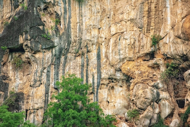 cueva del murciélago, forma de salida del murciélago en phuphaman, khonkaen, Tailandia