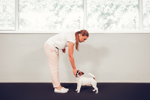 Cuidado com o cachorro. Mulher amando animais cuidando muito de um cachorro fofo perto da janela