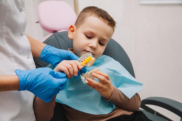 Cuidado dental. Dentista com um pequeno paciente aprendendo a escovar os dentes em uma dentadura.