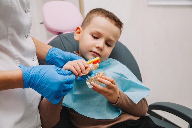 Cuidado dental. Dentista com um pequeno paciente aprendendo a escovar os dentes em uma dentadura.