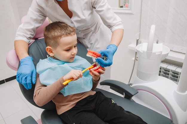 Foto cuidado dental. dentista com um pequeno paciente aprendendo a escovar os dentes em uma dentadura.