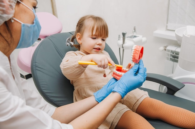 Cuidado dental. Dentista com um pequeno paciente aprendendo a escovar os dentes em uma dentadura.