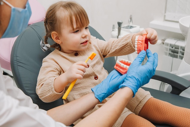 Cuidado dental. Dentista con un pequeño paciente aprendiendo a cepillarse los dientes en una dentadura postiza.