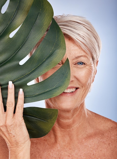 Cuidado de la piel Monstera y mujer mayor con una hoja para cosméticos sobre un fondo de estudio gris Spa de lujo y retrato de una modelo anciana con una planta para el bienestar, la belleza y la salud corporal