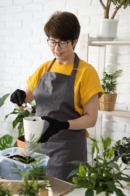 El cuidado de las plantas de interior de primavera, el trasplante de plantas de interior, el despertar de las plantas de interior para la primavera, la mujer de mediana edad es