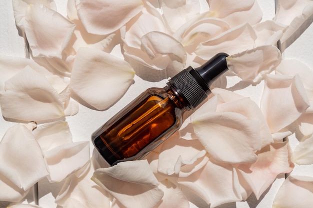 Cuidados com a pele caseiros água de rosas natural ou produto de óleo essencial Pétalas de rosas brancas e conta-gotas de vidro cosmético com soro hidratante toner facial limpeza removedor de maquiagem ou tratar a acne