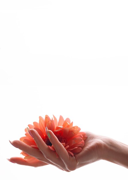 Foto cuidados com a pele das mãos. feche a imagem de lindas mãos femininas com manicure rosa claro nas unhas. creme para as mãos, manicure e tratamentos de beleza. mãos elegantes e graciosas com dedos finos.