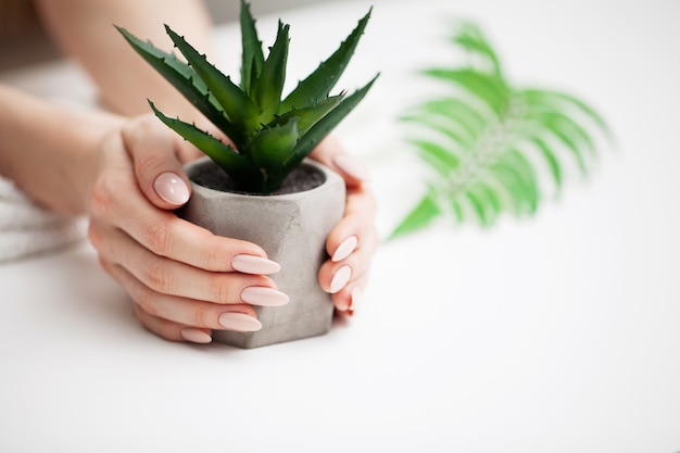 Cuidados com as unhas, mulher demonstra uma manicure fresca, feita em um estúdio de beleza