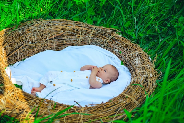 Foto cuidados com o recém-nascido cuidados com a saúde do recém-nascido, incluindo tratamento futuro o bebê é o nosso futuro