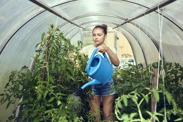 Foto cuidando de tomates na estufa jovem mulher europeia de calções curtos usa água de jardim para regar mudas
