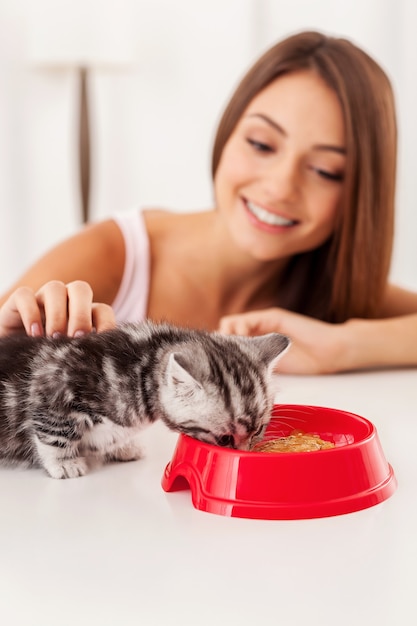 Cuidando a su gatito. Gatito comiendo comida del cuenco mientras es acariciado por una hermosa joven