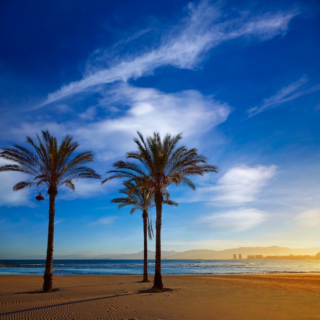 Cullera Playa Los Olivos Playa Atardecer en Valencia