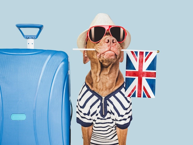 Óculos de sol de chapéu de cachorro encantador e bandeira britânica