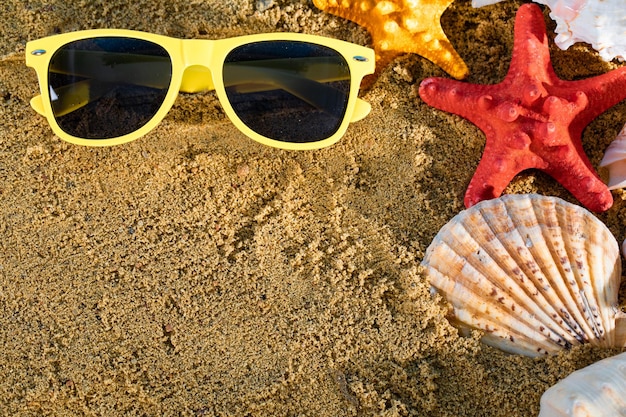 Óculos de sol deitados na praia entre conchas e estrelas-do-mar num belo dia de férias