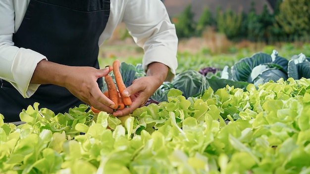 Cultiva verduras y frutas frescas