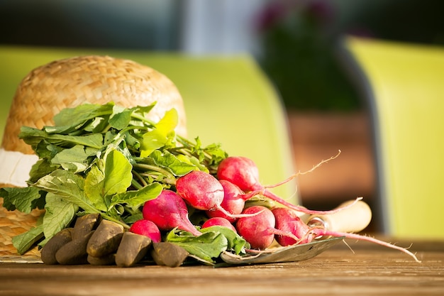 Foto cultivando vegetais em casa suburbana