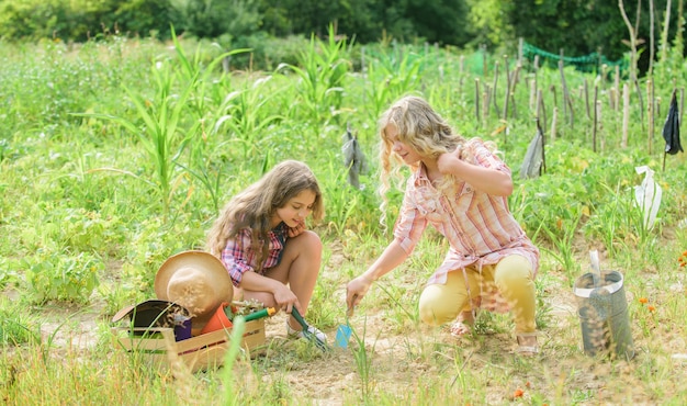 Cultivando vegetales. Plantación de verduras. Hermanas juntas ayudando en la granja. Jardín y camas. Niños rústicos que trabajan en el jardín. Plantar y regar. Niñas plantando plantas. Concepto de agricultura.