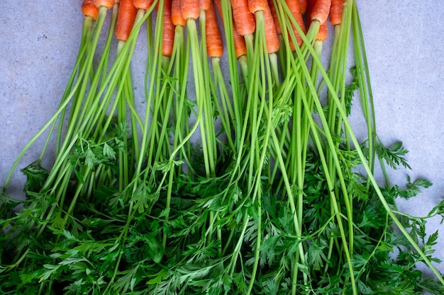 Cultive cenouras frescas com folhas verdes do mercado plano de fundo na vista superior