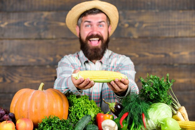 Cultive culturas orgânicas. hortas e fazendas comunitárias. estilo de vida saudável. fazendeiro segurar sabugo de milho ou fundo de madeira de milho. agricultor apresentando vegetais orgânicos cultivados em casa. benefícios da colheita orgânica local.