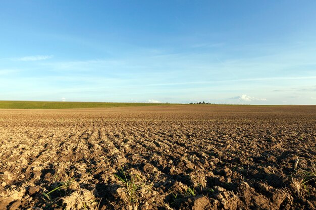 Cultivo de campo agrícola arado, un paisaje de verano después de la cosecha