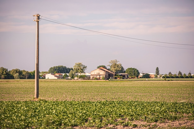 Cultivo de campo en el norte de italia en Villanova del Ghebbo