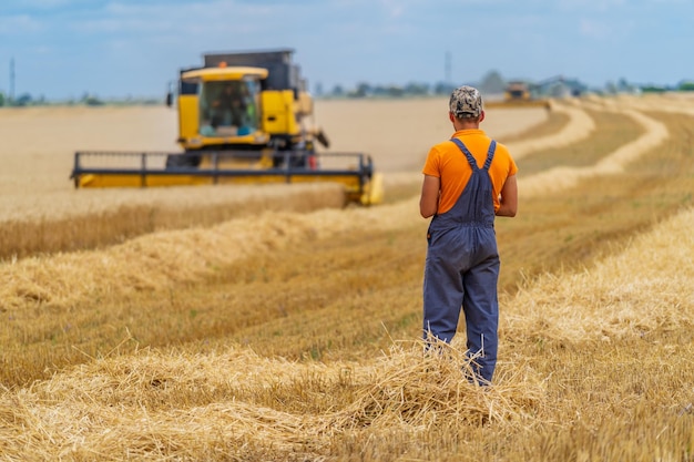 Cultivo de cosecha de la máquina agrícola en los campos. Técnica especial en acción. Técnica agrícola en campo. Maquinaria pesada, cielo azul sobre el campo. Farmer está de espaldas a la cámara.